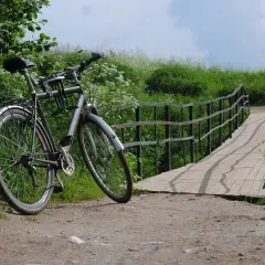 Rower czeka przy drewnianym moście, gotowy na przejażdżkę po malowniczej trasie rowerowej wokół jeziora.