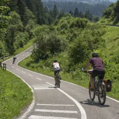 Rowerzyści przemierzają malowniczą trasę rowerową Alpe Adria, otoczeni bujną zielenią i górskim krajobrazem.