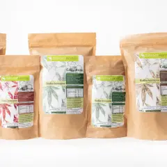 Kilka opakowań białka konopnego ExtractHome o różnych smakach i gramaturach. Produkt ten ma wiele cennych właściwości.