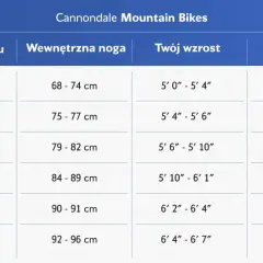 Tabela rozmiarów rowerów Cannondale. Rama 19 cali (Medium) jest odpowiednia dla osób o wzroście 169-178 cm.