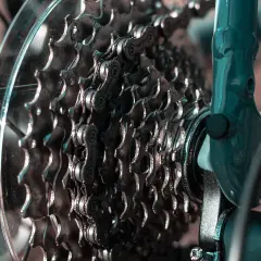 Zbliżenie na kasetę zębatą roweru, pokazującą mechanizm przerzutek.