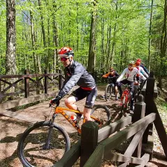 Grupa rowerzystów pokonuje drewniany mostek na leśnej trasie. Słońce przebija się przez liście, tworząc malowniczy krajobraz.