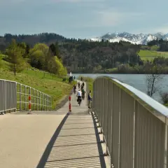 Rowerzyści na malowniczej trasie rowerowej w Czorsztynie, z widokiem na jezioro i ośnieżone szczyty Tatr.