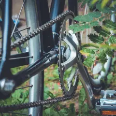 Jak dobrać łańcuch do roweru? Detal napędu rowerowego z widoczną zębatką i łańcuchem, otoczony zielenią.