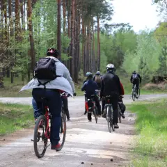 Grupa rowerzystów przemierza leśną ścieżkę. Czy jazda na rowerze odchudza? Aktywność fizyczna na świeżym powietrzu z pewnością pomaga.