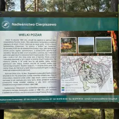 Tablica informacyjna Nadleśnictwa Cierpiszewo o wielkim pożarze lasu. Mapa pokazuje trasy rowerowe Toruń i okolice.