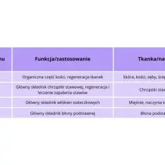 Tabela przedstawia typy kolagenu, ich funkcje i tkanki. Kolagen typu II jest głównym składnikiem chrząstki stawowej, wspierając regenerację i leczenie zapaleń, co czyni go najlepiej przyswajalny kolagen dla stawów.