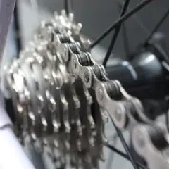 Biała rama roweru, metalowy łańcuch i zębatki tworzą mechanizm wolnobiegu.