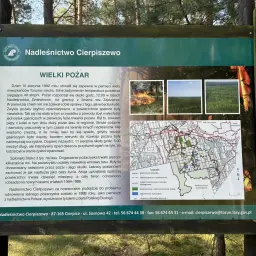 Tablica informacyjna Nadleśnictwa Cierpiszewo o wielkim pożarze lasu. Mapa pokazuje trasy rowerowe Toruń i okolice.