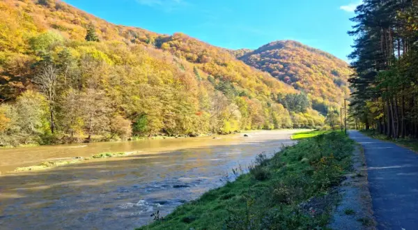 Jesień nad Popradem. Ścieżka rowerowa wzdłuż rzeki, góry w złotych barwach. Idealne miejsce na **velo Poprad**.