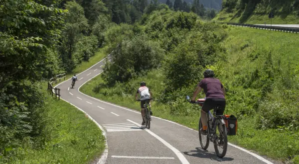 Rowerzyści przemierzają malowniczą trasę rowerową Alpe Adria, otoczeni bujną zielenią i górskim krajobrazem.