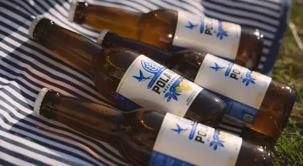 Butelki piwa bezalkoholowego na kocu w paski. Czy piwo bezalkoholowe nawadnia? Idealne na upalny dzień.