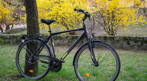 Czarny rower trekkingowy, idealny wybór jaki rower trekkingowy do 3000 zł, stoi przy drzewie na tle kwitnących żółtych krzewów.