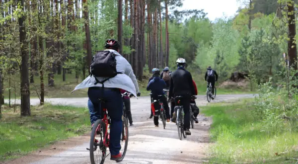 Grupa rowerzystów przemierza leśną ścieżkę. Czy jazda na rowerze odchudza? Aktywność fizyczna na świeżym powietrzu z pewnością pomaga.