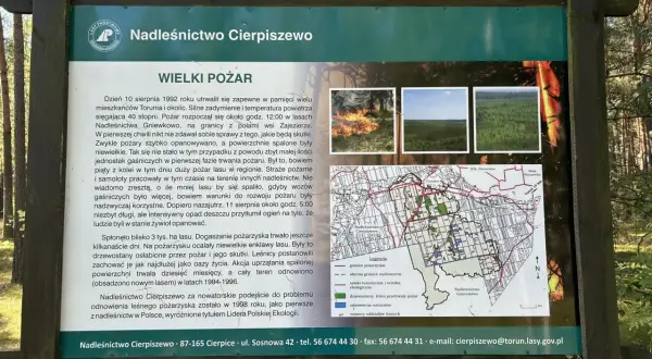 Tablica informacyjna Nadleśnictwa Cierpiszewo o wielkim pożarze lasu. Mapa pokazuje trasy rowerowe Toruń i okolice.