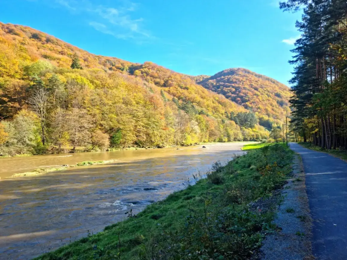 Jesień nad Popradem. Ścieżka rowerowa wzdłuż rzeki, góry w złotych barwach. Idealne miejsce na **velo Poprad**.