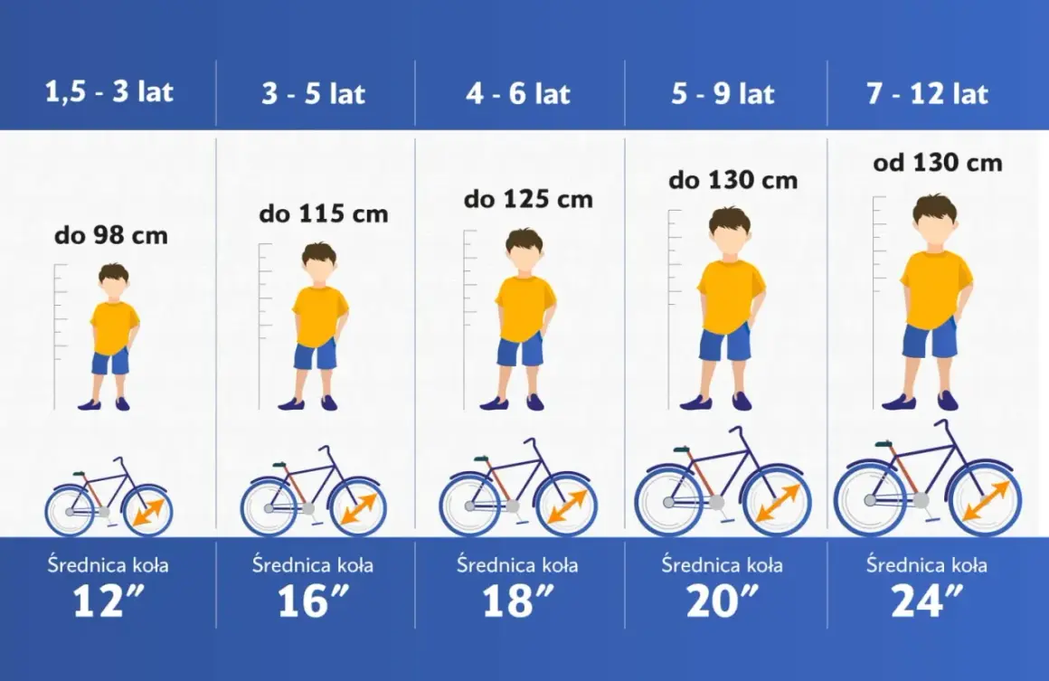 Tabela rozmiarów rowerów: dla wzrostu 180 cm, szukaj ramy z kołami 24" lub większymi.
