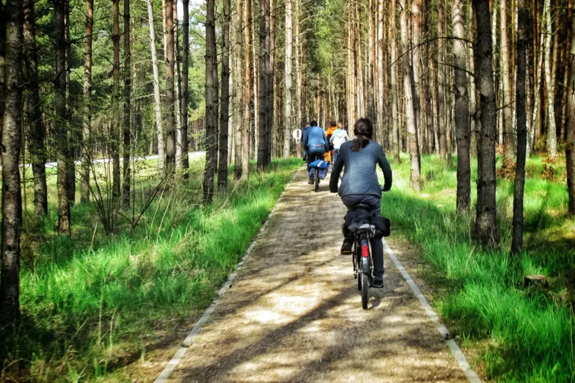 Grupa rowerzystów przemierza leśną ścieżkę, odkrywając uroki kaszubskiej marszruty.