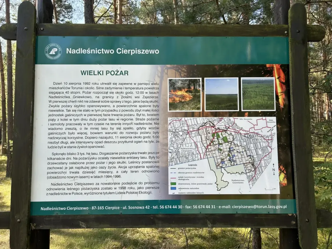 Tablica informacyjna Nadleśnictwa Cierpiszewo o wielkim pożarze lasu. Mapa pokazuje trasy rowerowe Toruń i okolice.