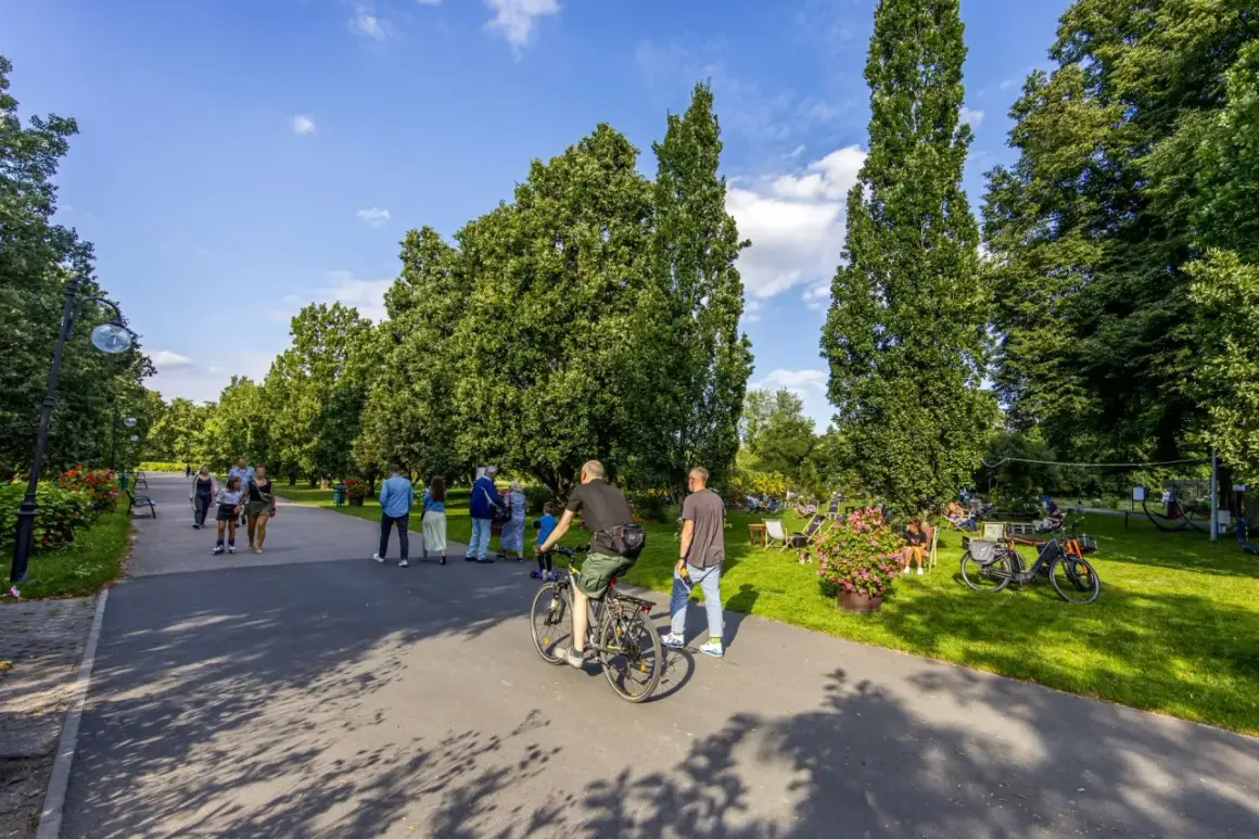 Ludzie korzystają z pięknej pogody na ścieżkach rowerowych w Poznaniu.