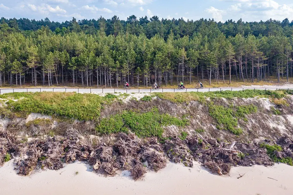 Rowerzyści przemierzają jedną z najpiękniejszych tras rowerowych w Polsce, wzdłuż sosnowego lasu i piaszczystej plaży.