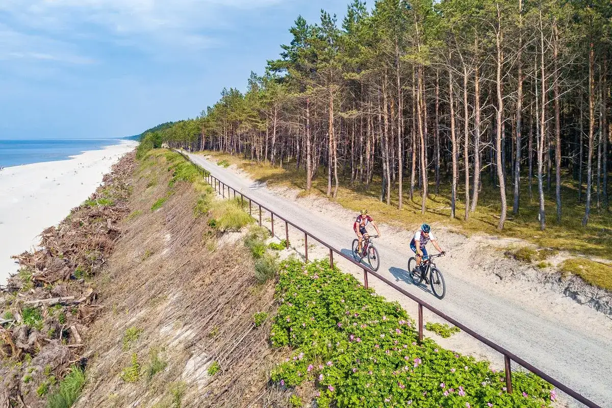 Dwóch rowerzystów przemierza malownicze biking trails wzdłuż sosnowego lasu i piaszczystej plaży.