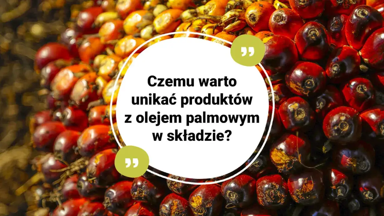 Kwitnące owoce palmy olejowej. Czy olej palmowy jest zdrowy? Unikaj produktów z olejem palmowym w składzie.