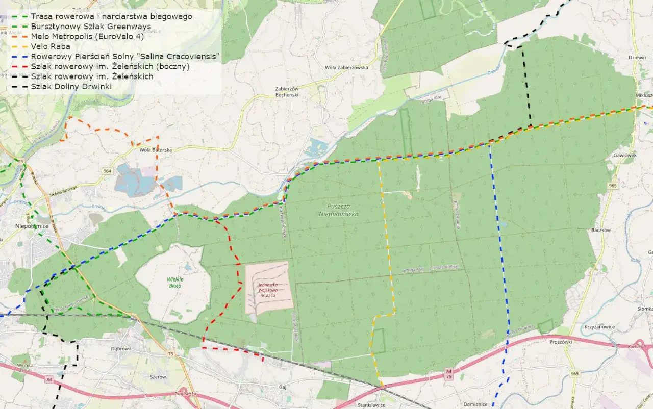 Mapa Puszczy Niepołomickiej z zaznaczonymi trasami rowerowymi: Bursztynowy Szlak Greenways, Velo Raba, Szlak im. Żeleńskich i inne.