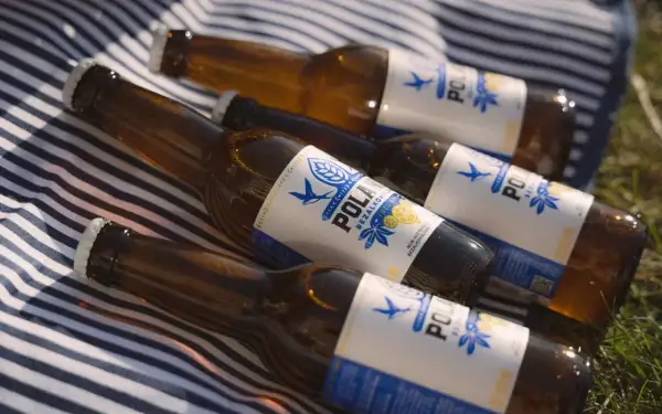 Butelki piwa bezalkoholowego na kocu w paski. Czy piwo bezalkoholowe nawadnia? Idealne na upalny dzień.