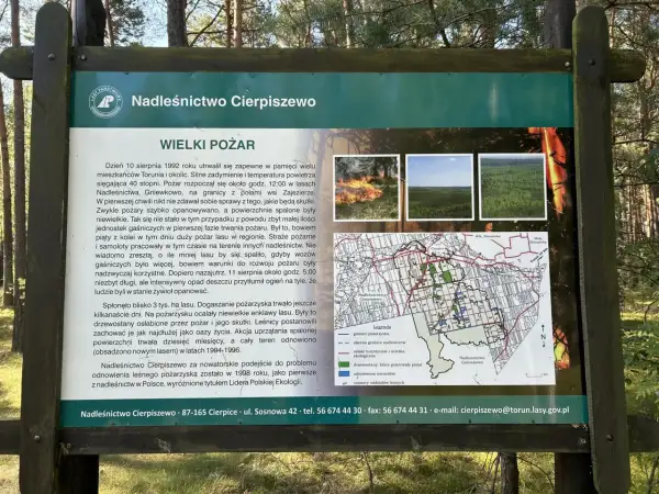 Tablica informacyjna Nadleśnictwa Cierpiszewo o wielkim pożarze lasu. Mapa pokazuje trasy rowerowe Toruń i okolice.